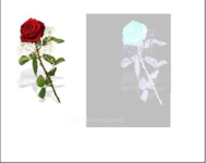 1608835013931.png